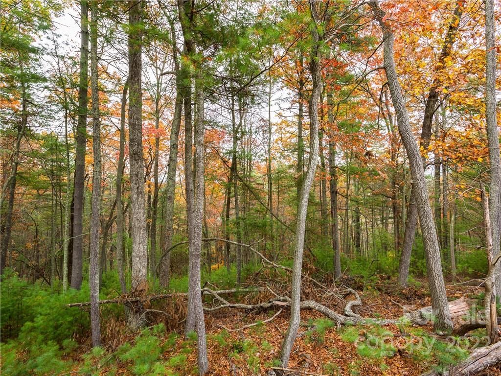 Lot 11 Cedar Hill Drive