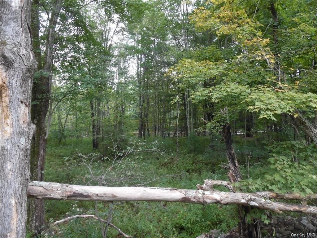 Plank Road