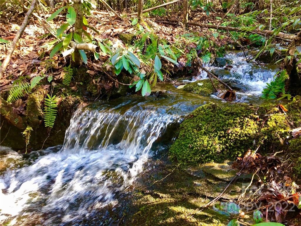 Lot 12 Silver Maple Trail