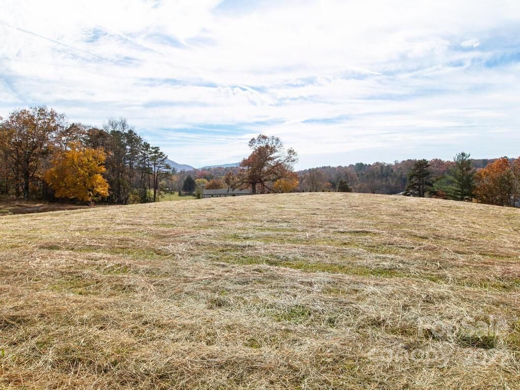 207 Thistle Ridge Court