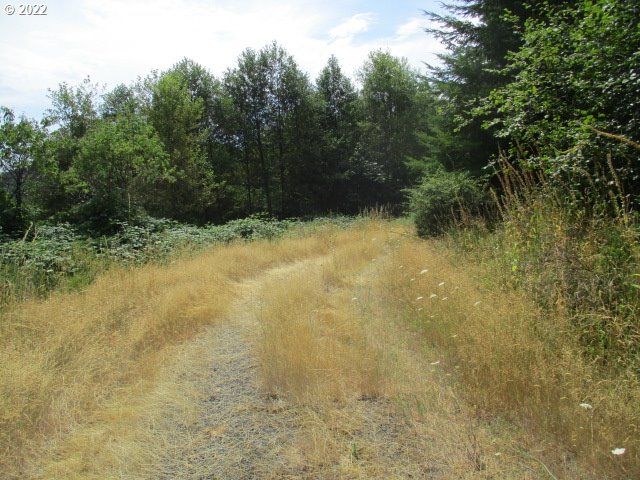 Grouse (Central) Ln