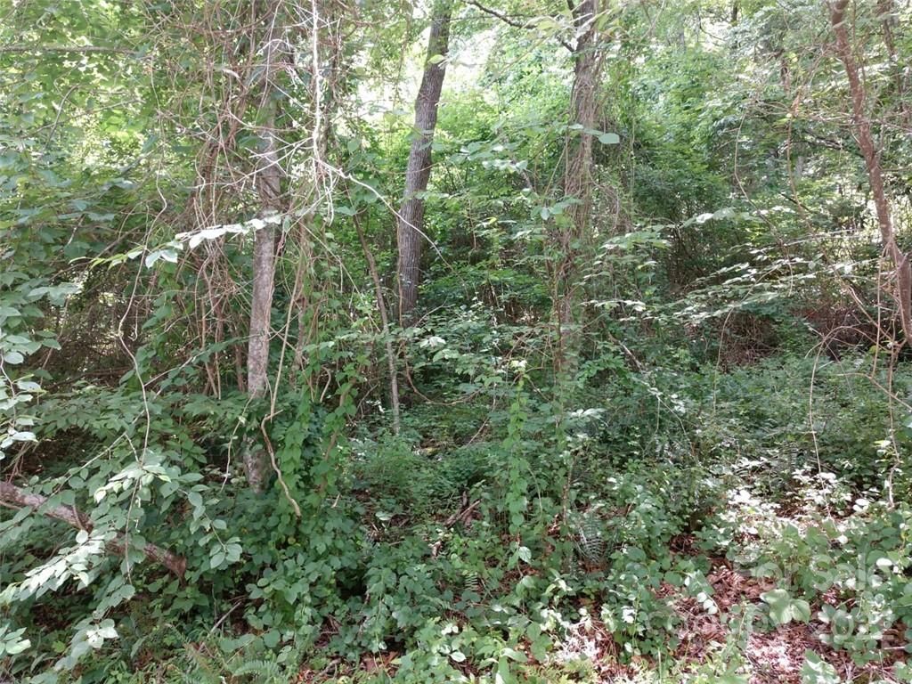 76 View Ridge Parkway