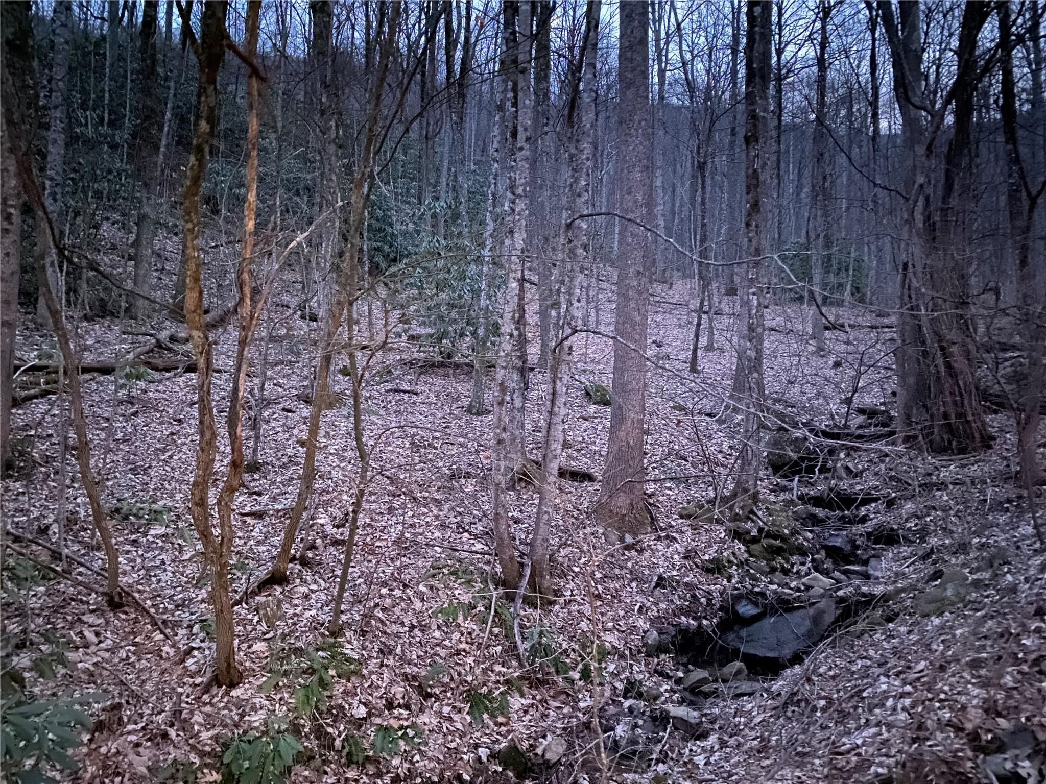 29 Wood Haven Lane