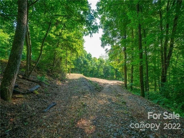 638 Crystal Tree Drive