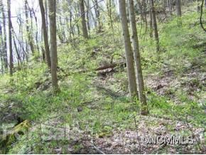 Lot 73 Running Deer Lane