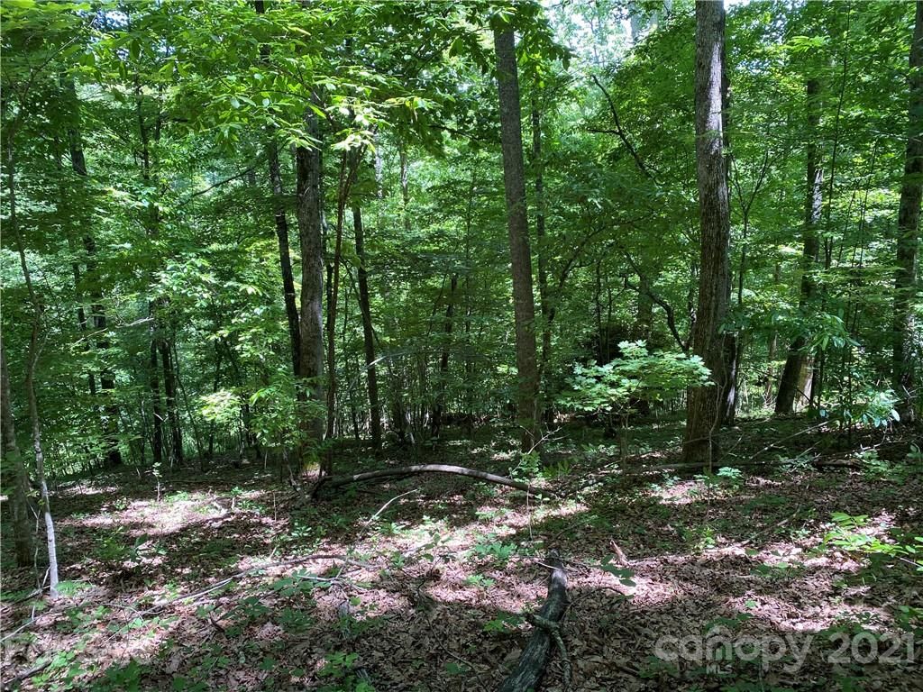 000 Chattooga Run