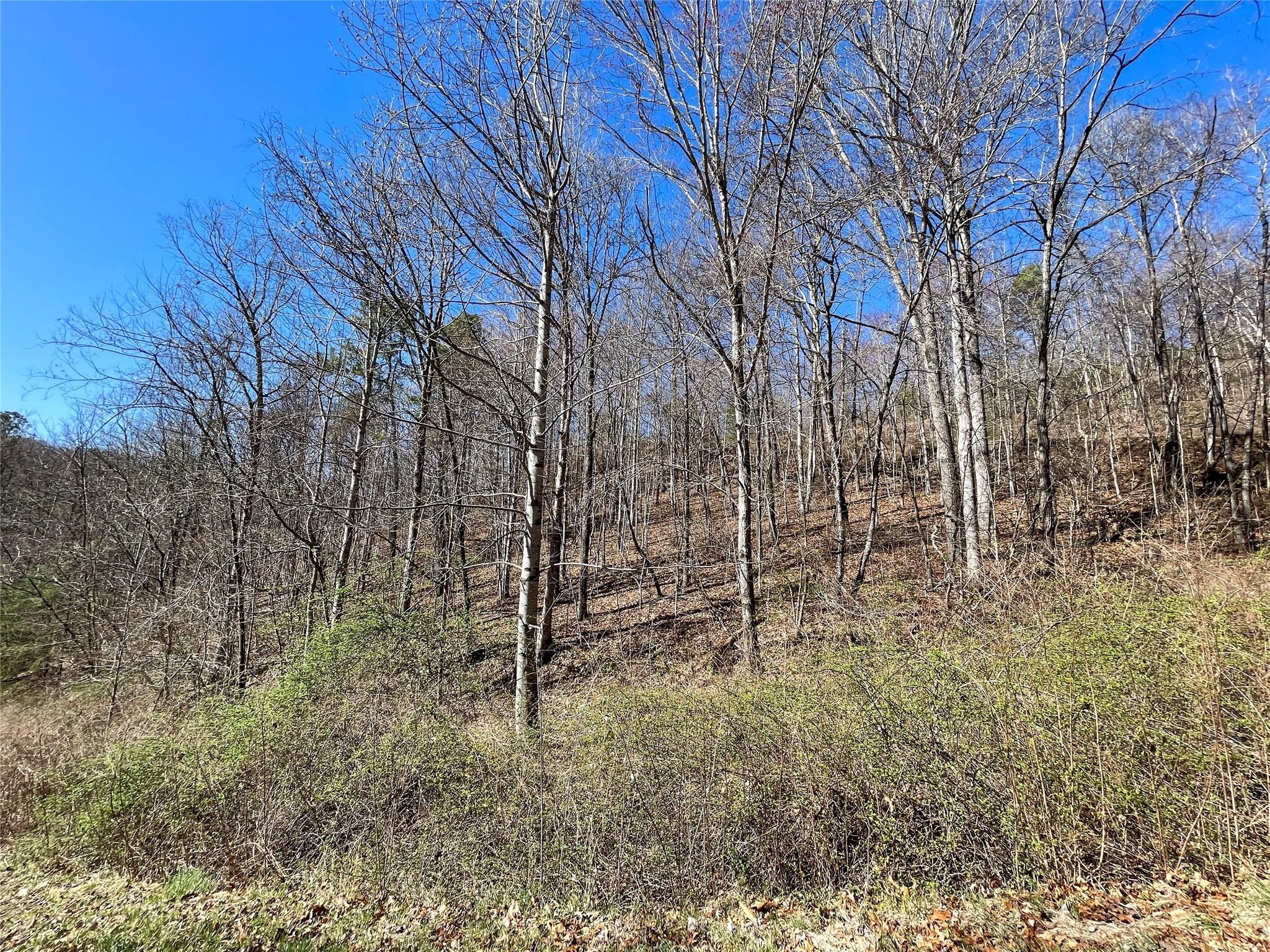 Lot 59 Eagles Roost Road