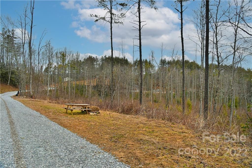 101 South Fork Trail