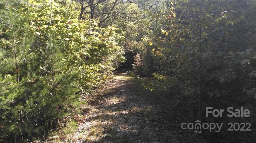 Lot 16c/17c Oconee Drive