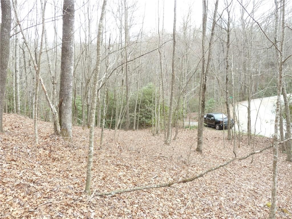 Spring Road