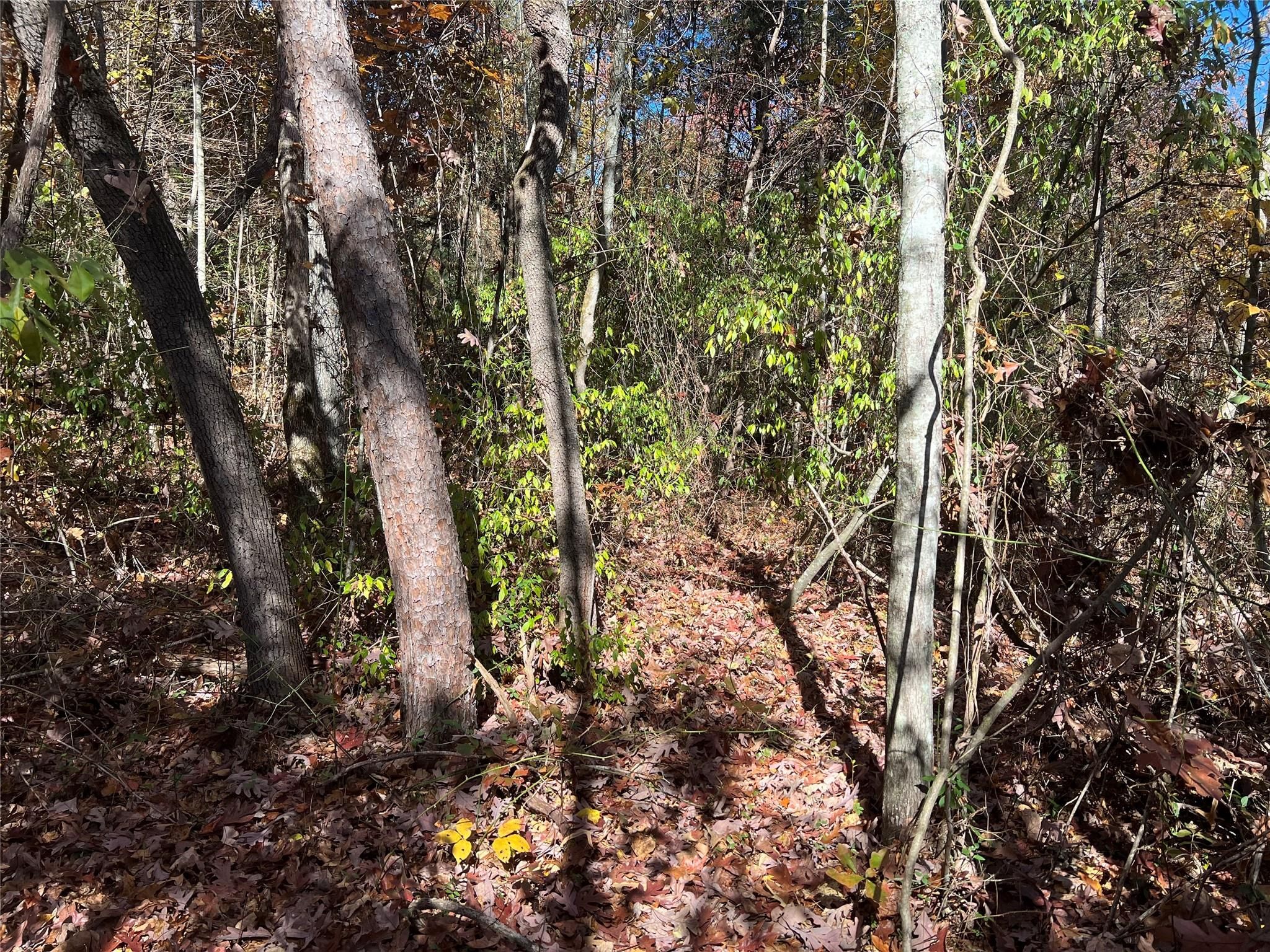 Tbd Nature Drive