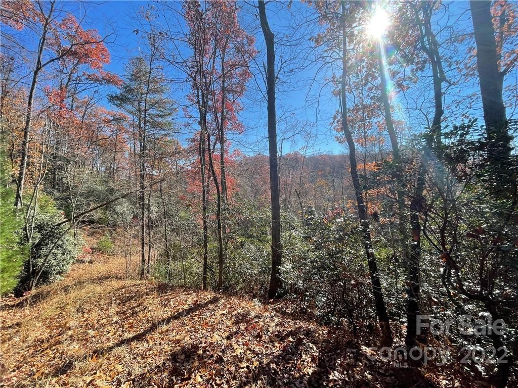 Lot 134 Green Hollow Lane