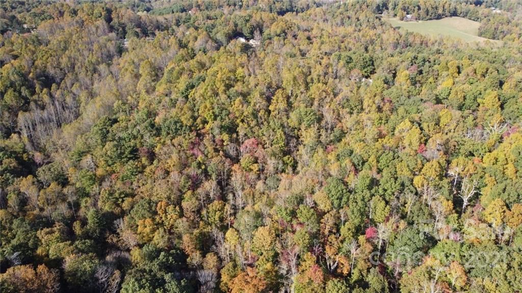 17.01 Acres Greenville Street
