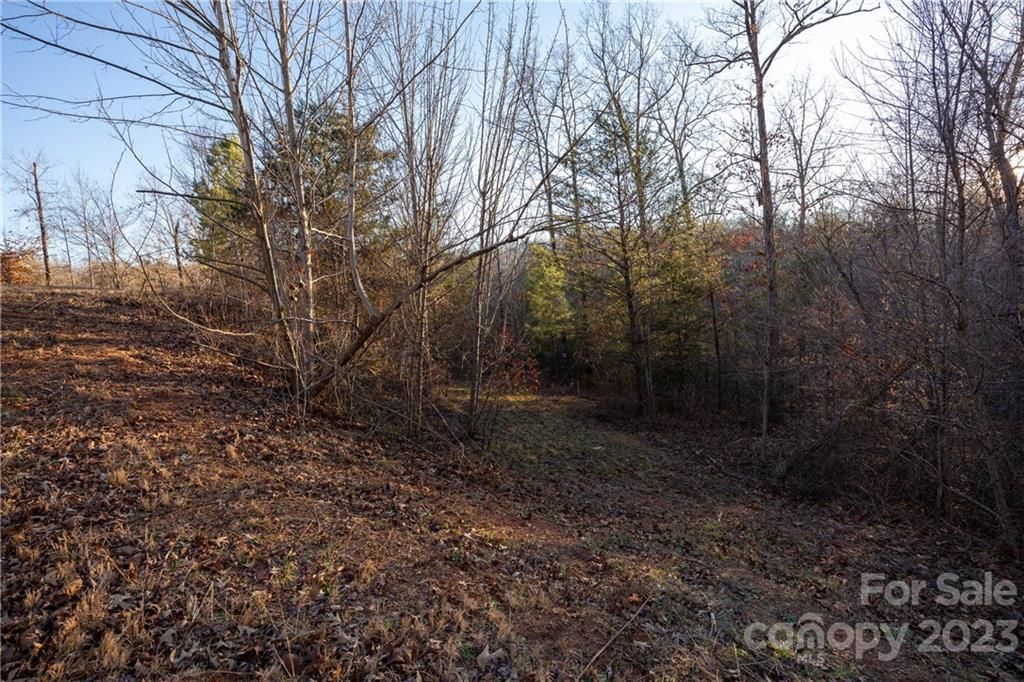 0000 Baber Forest Drive
