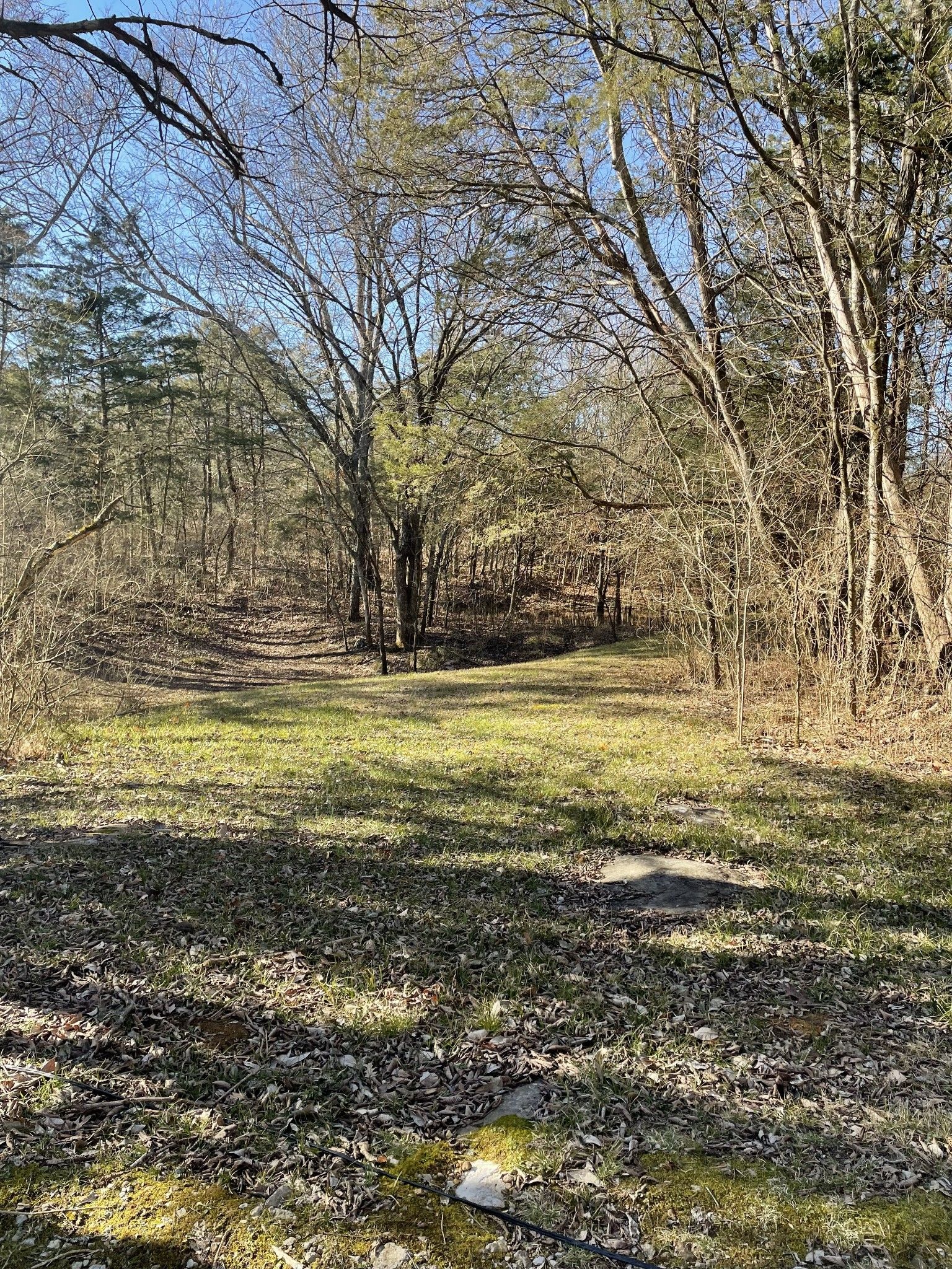824 Gladeville Rd