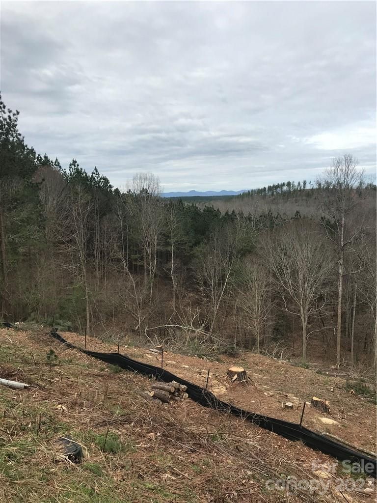 235 Table Rock Trace