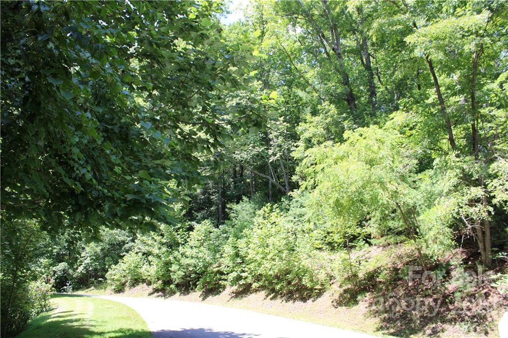 Lot 85r Mountain Home Trail