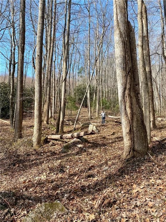 V/L Clinchfield Gap Road
