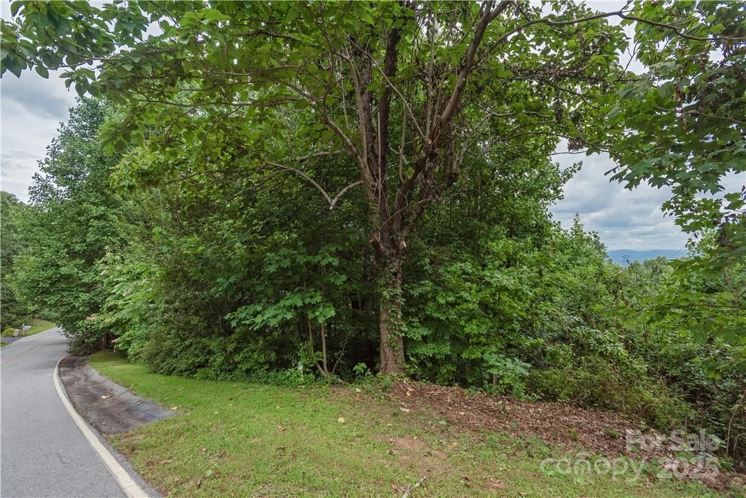 103 Berry Creek Drive