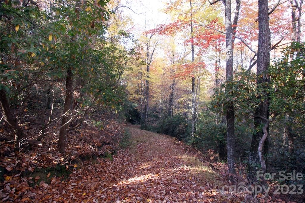 Lot 32 Line Runner Ridge Ridge, Rosman, NC, 28722 Land For Sale