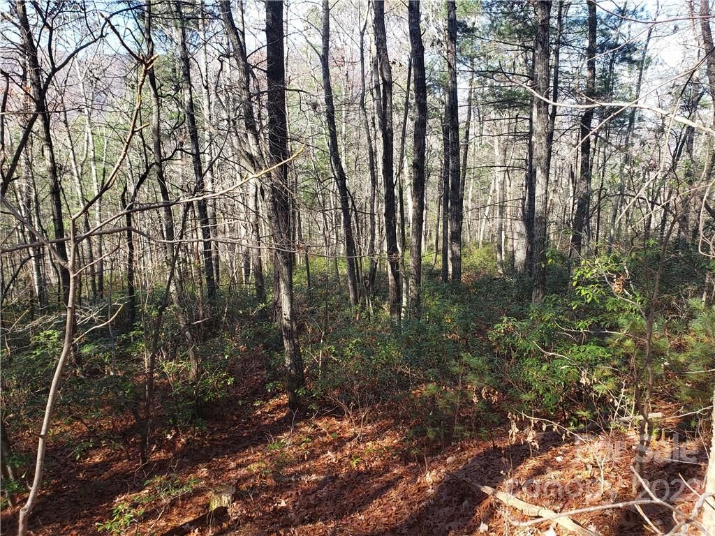 V/L Fox Ridge Trail