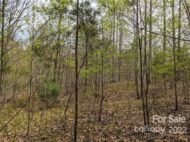 5.07 Acre Tract On Darrow Drive