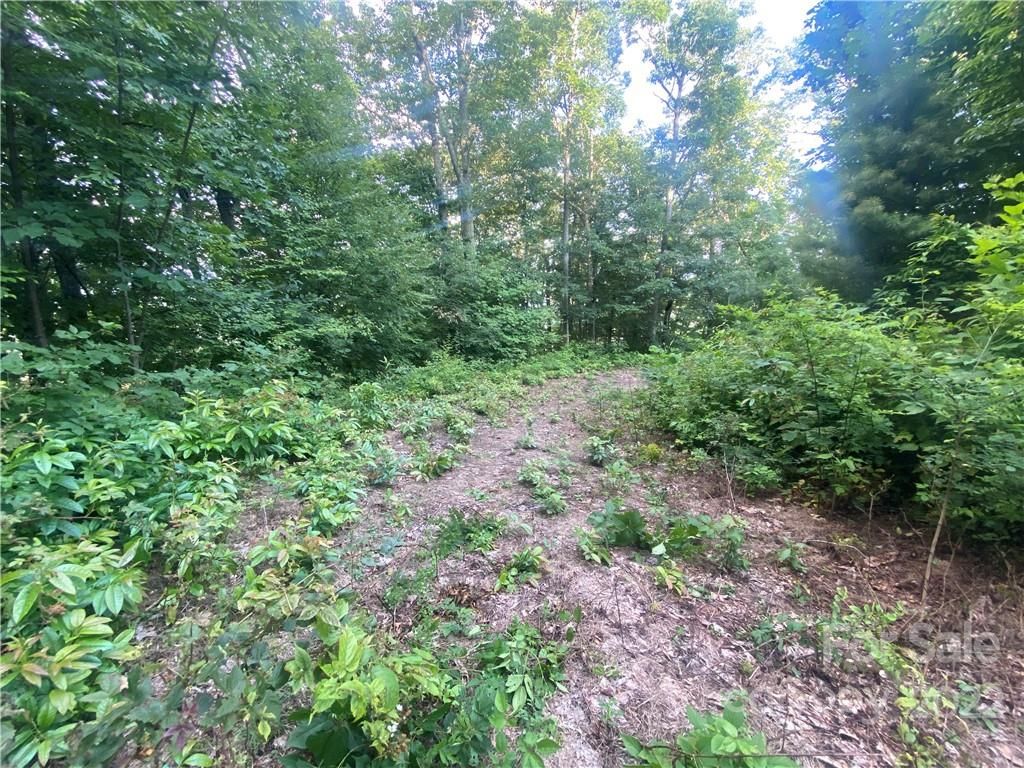 00 Sigogglin Trail