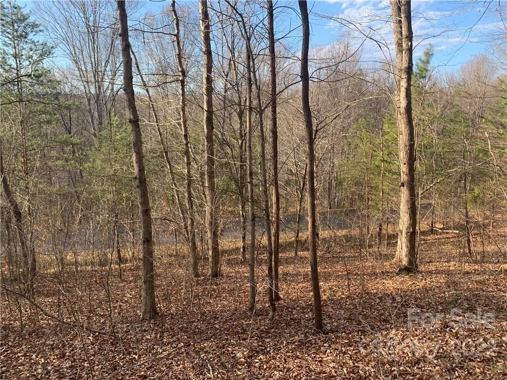 Creekside Circle