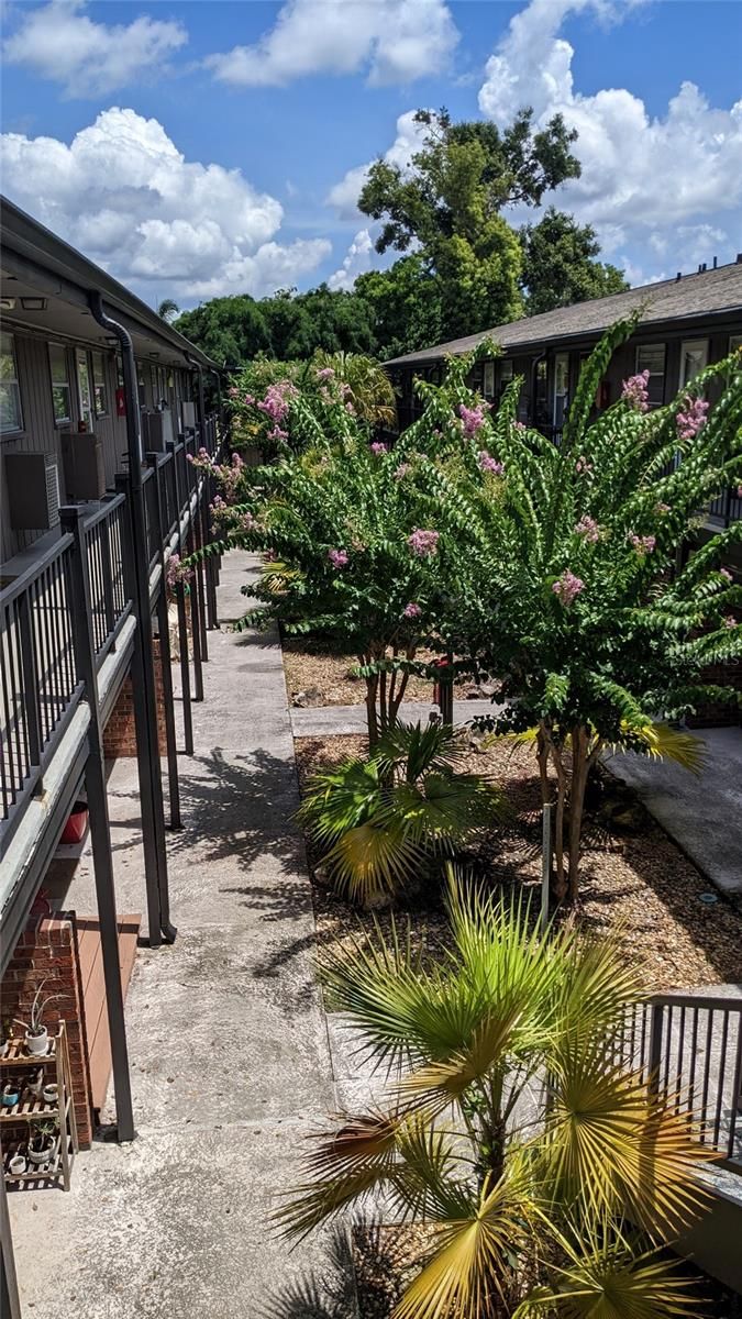 851 Miles Avenue