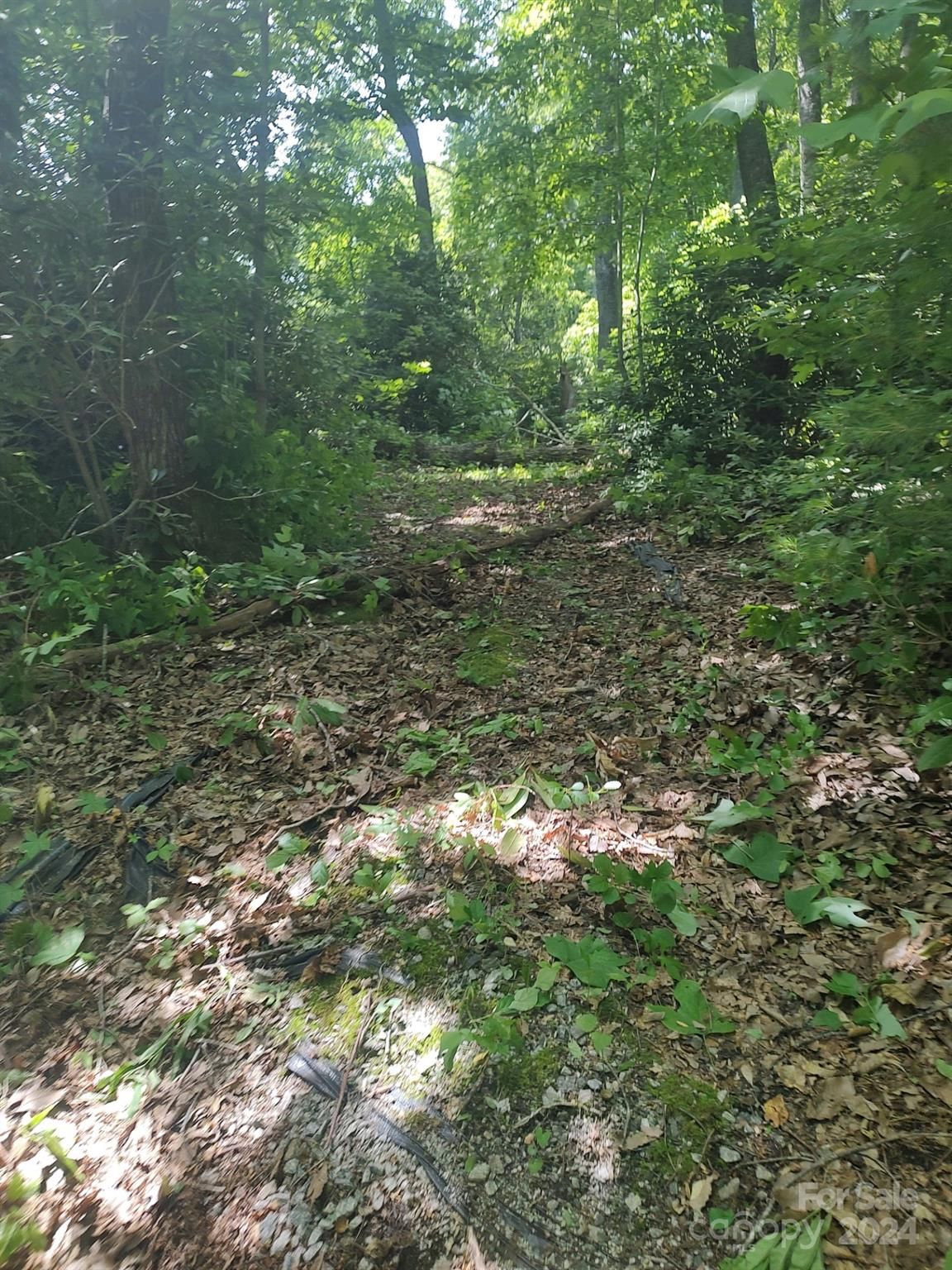 314 Burnside Trail