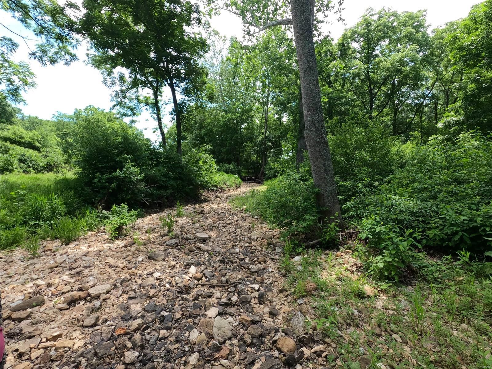 Bluffton Rd