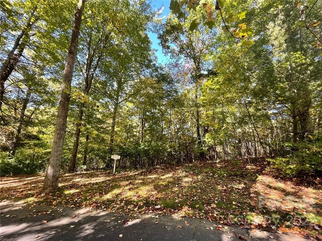 Lot 119 Springhouse Drive