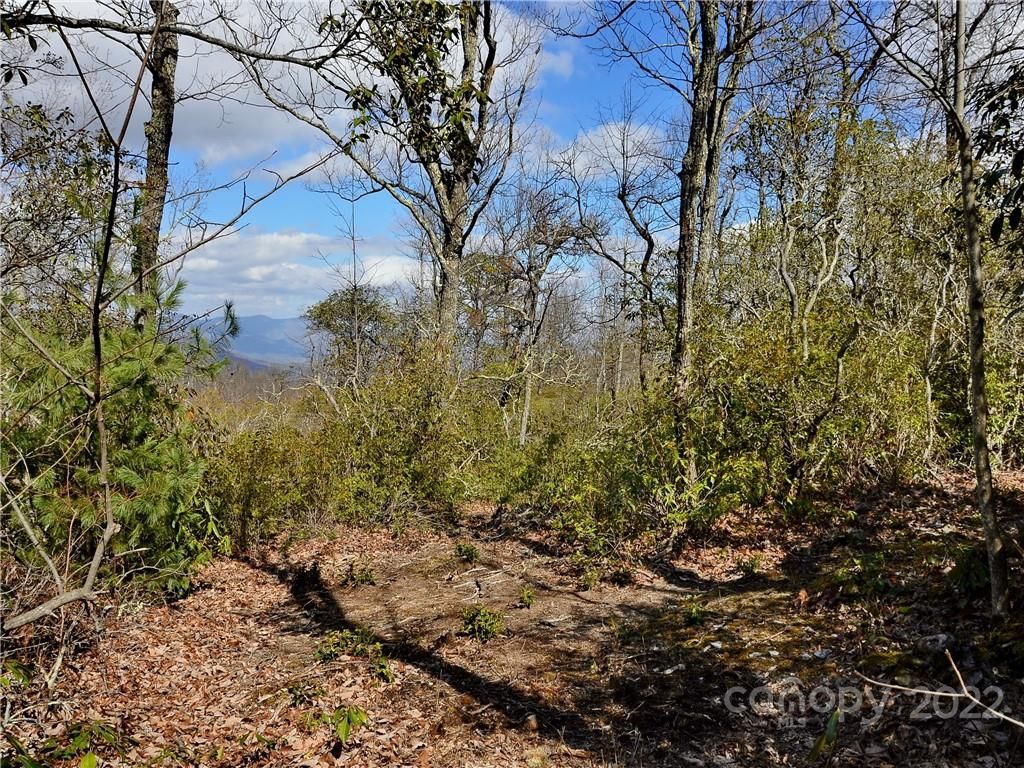 +/- 150 Acres Moondance Trail