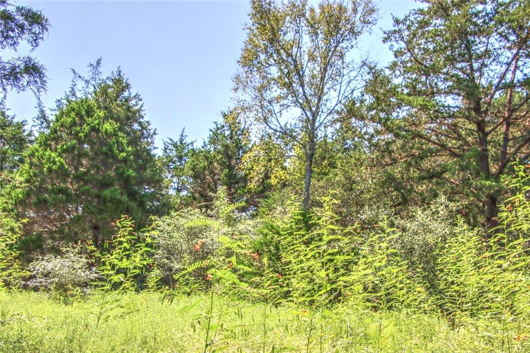Tract 4 County Road 307