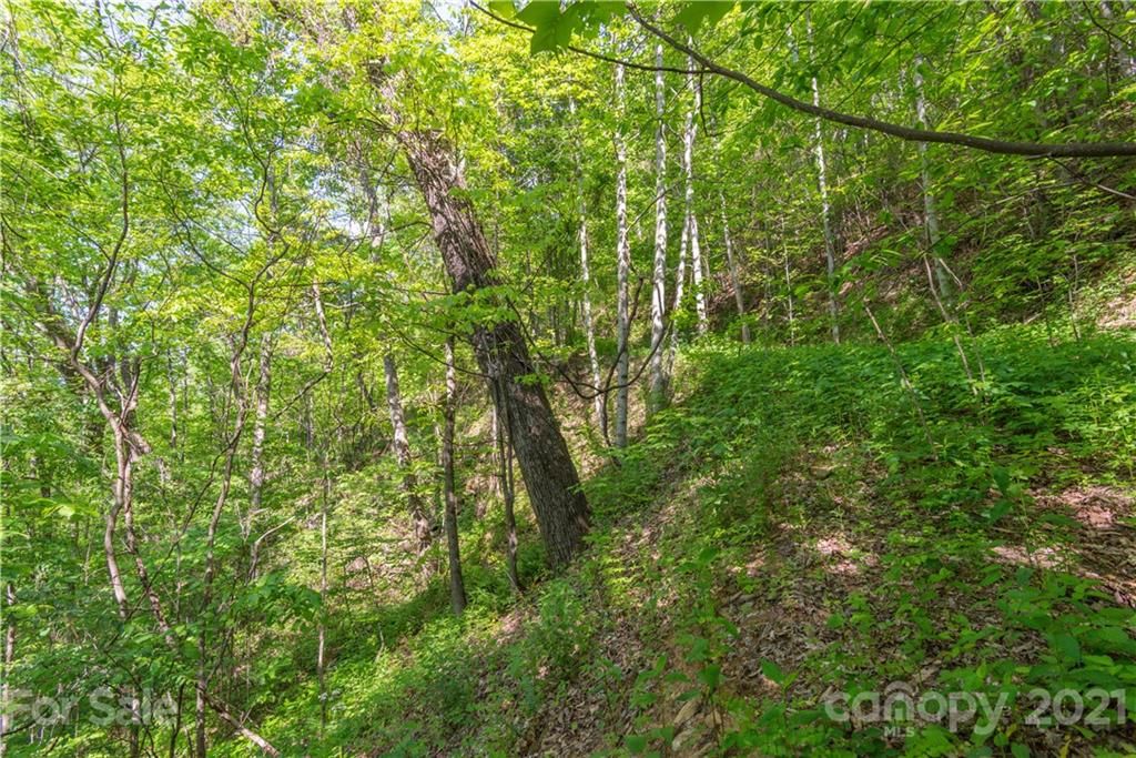 Lot 319b Eagles Nest Road