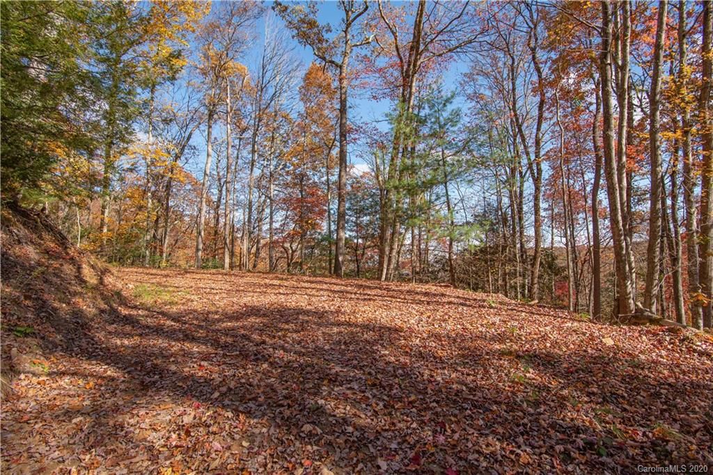 Tract 17 Sigogglin Trail