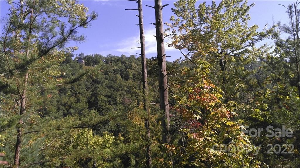 Lot 16c/17c Oconee Drive