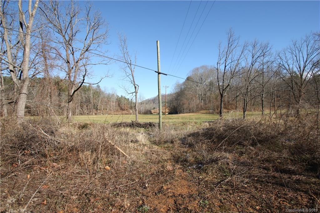 199 Sandy Mush Creek Road