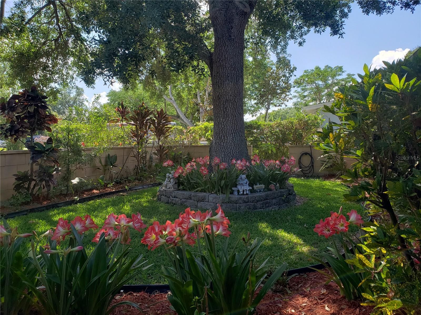 5731 Kislin Place