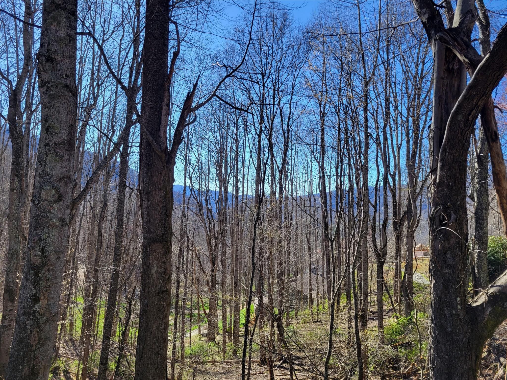 699 Spirit Mountain Trail