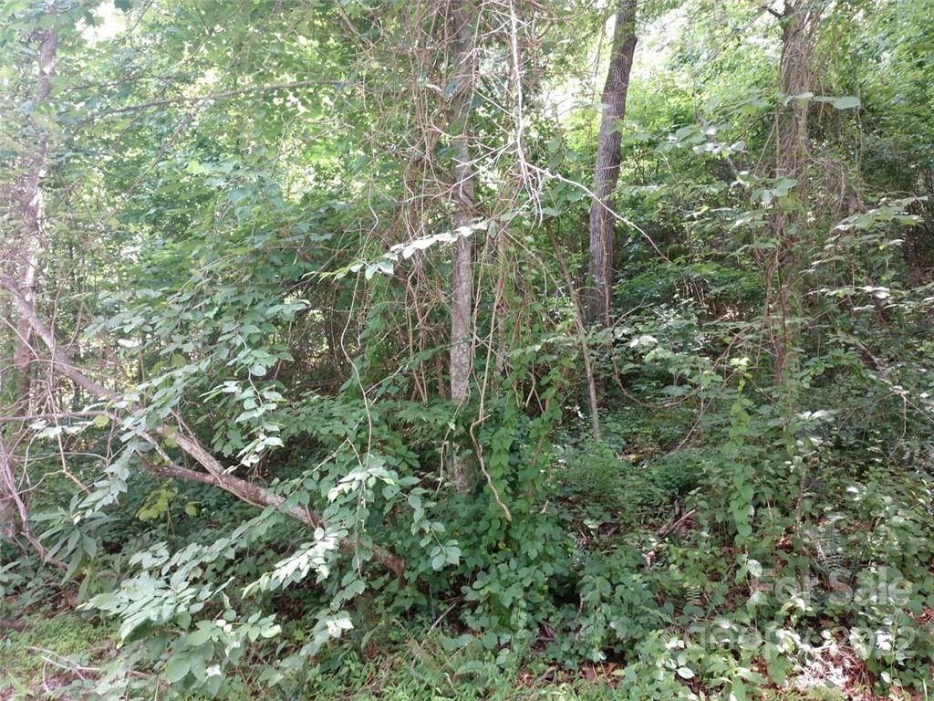 76 View Ridge Parkway