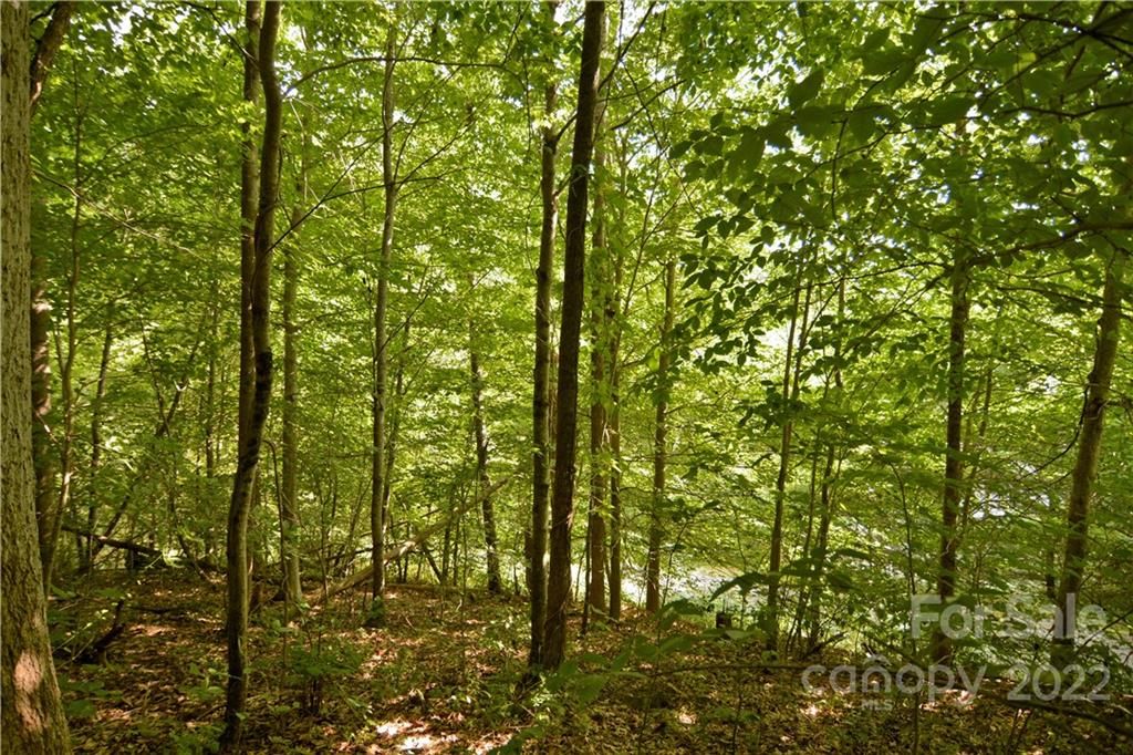 72 Applewood Lane