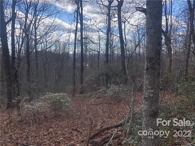 0000 Sugarloaf Mountain Road