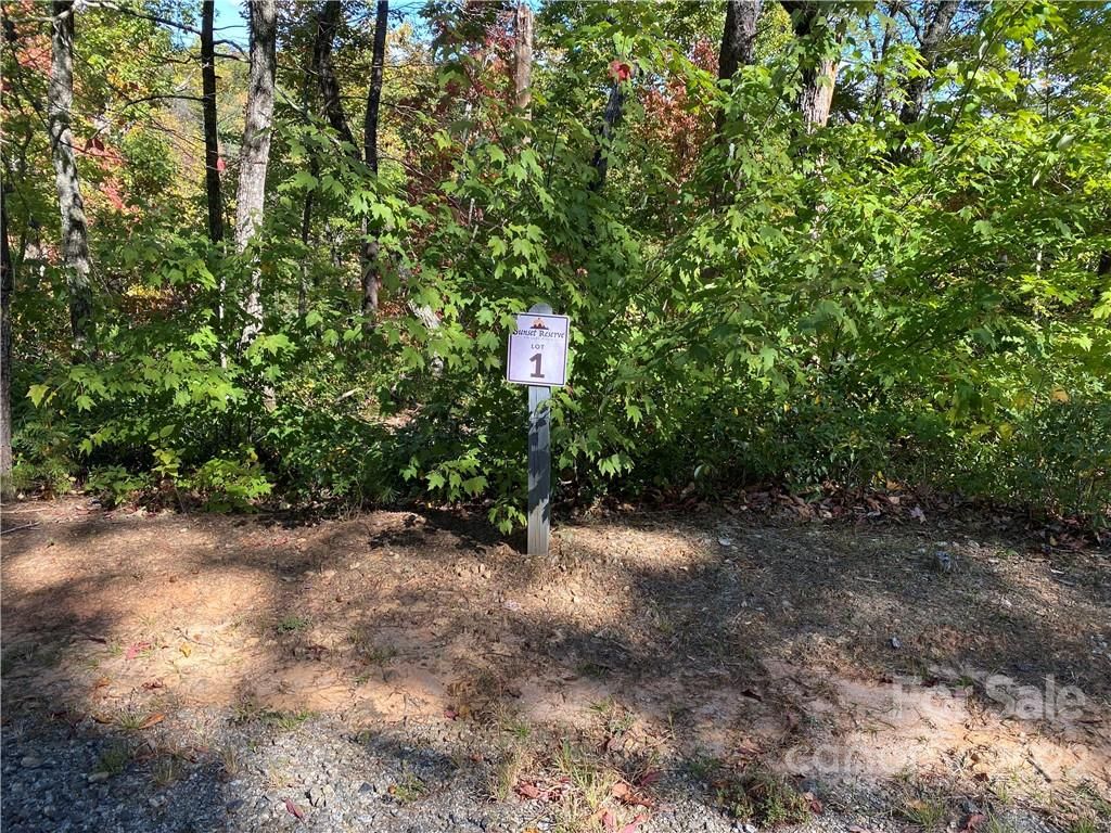 Lt 1 Lure Ridge Drive