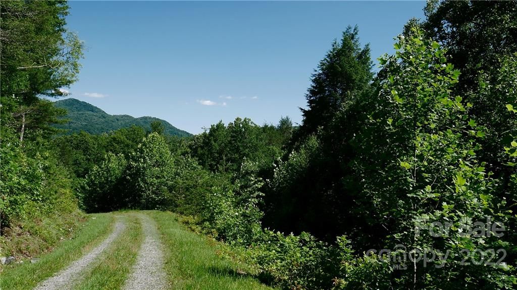 Tbd Firefly Trail
