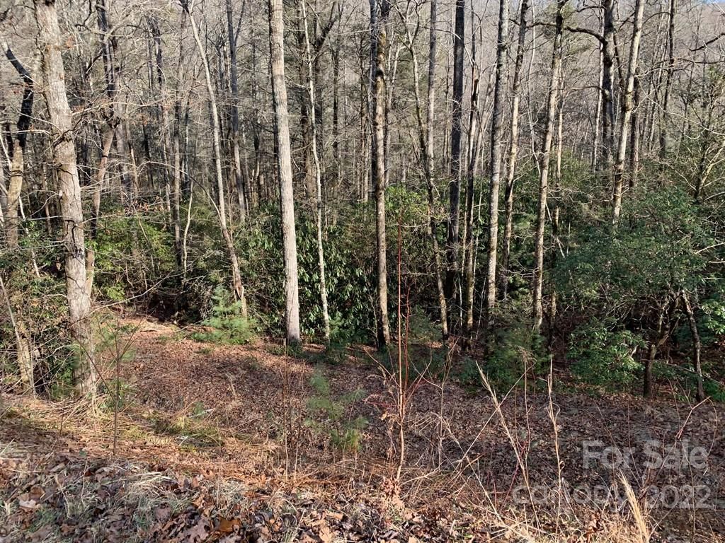 126 Green Hollow Lane