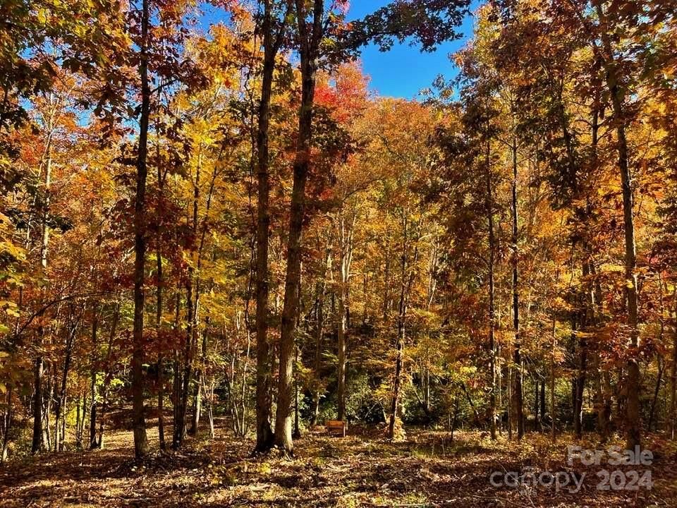 Cross Creek Trail