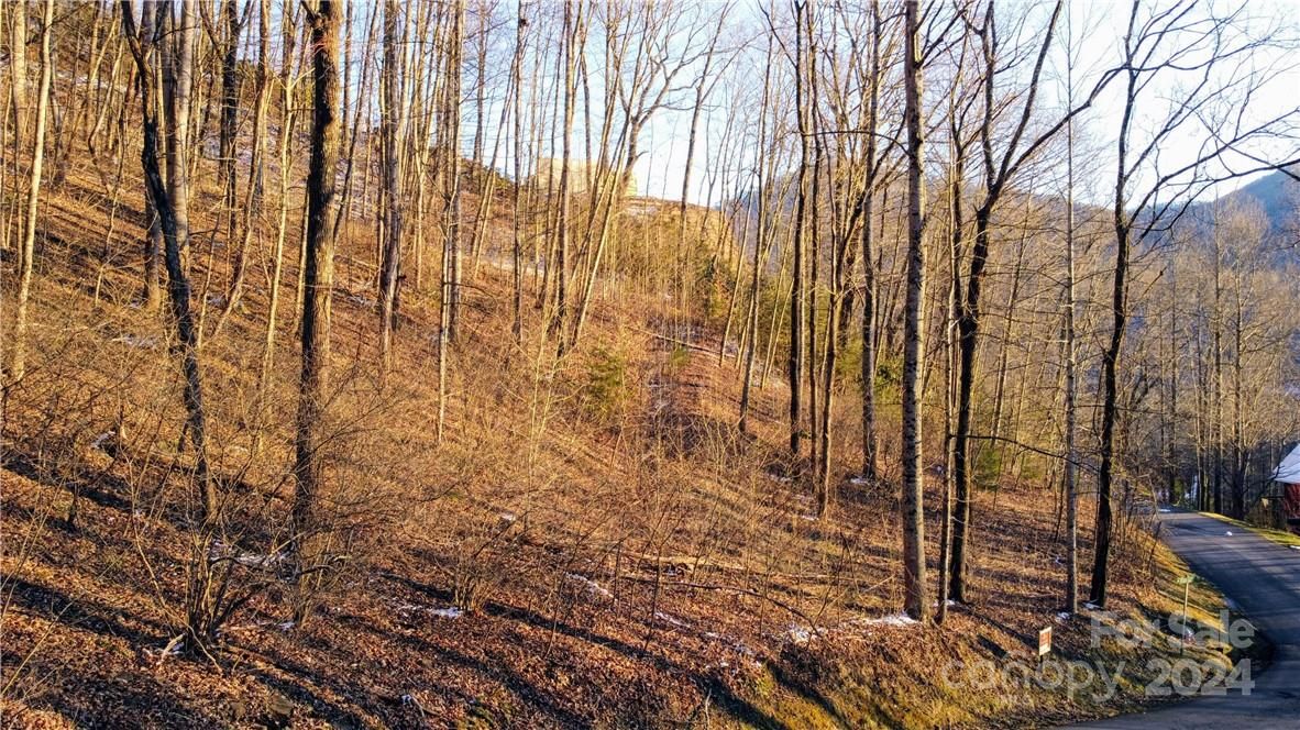14 Trout Lily Lane