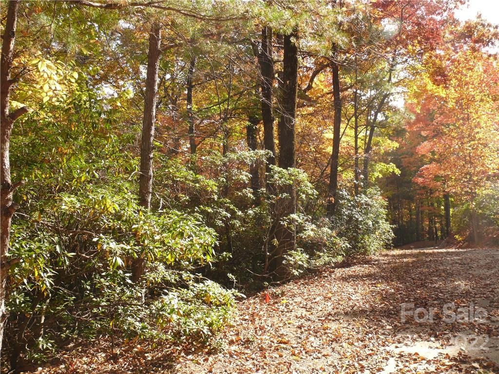 Lot 261 Quail Ridge Road