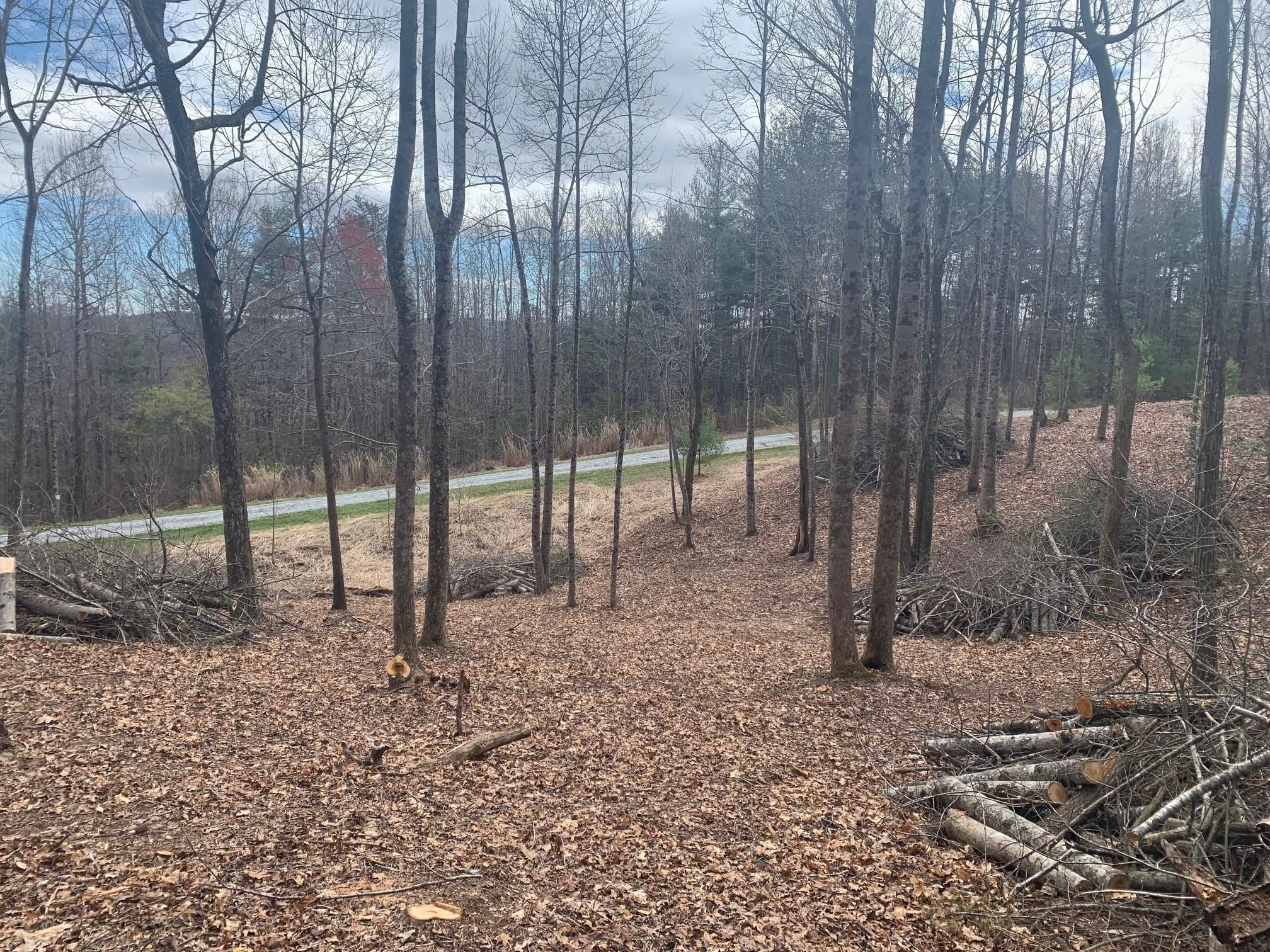 Summit Springs Drive